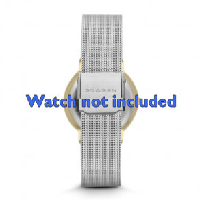 Bracelet de montre Skagen SKW2076 Milanais Acier 18mm